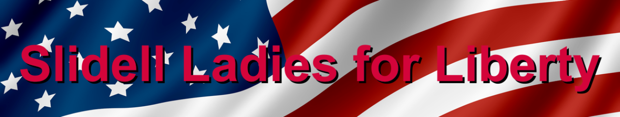 slidellladiesforliberty.com